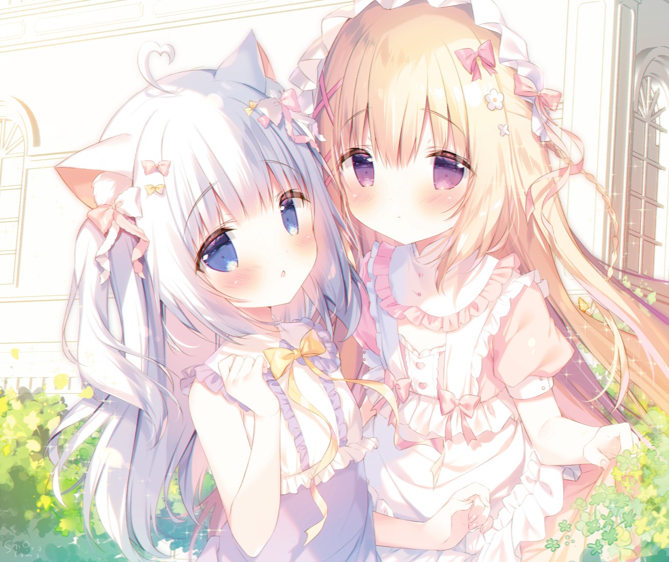boxmoe_header_banner_img